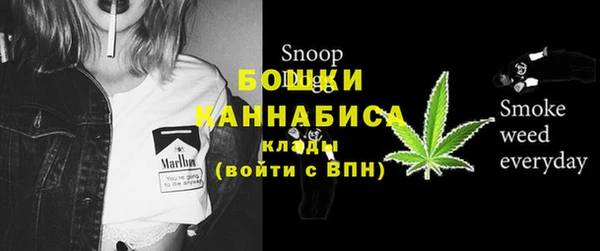 шишки Дмитриев