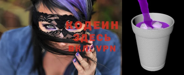 шишки Дмитриев