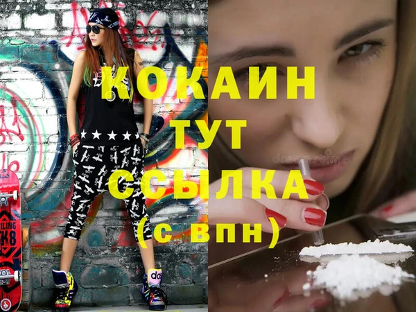 шишки Дмитриев