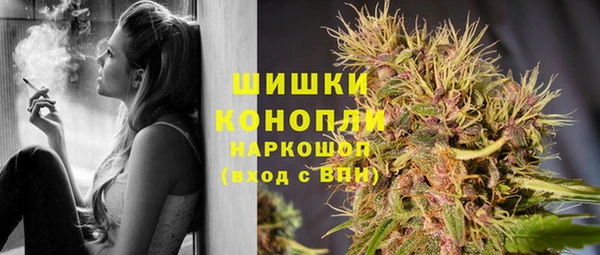 шишки Дмитриев