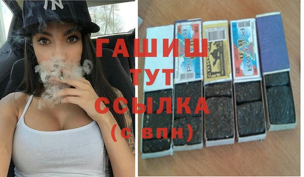 шишки Дмитриев