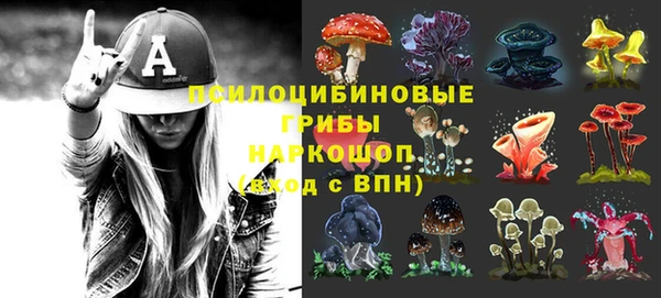 шишки Дмитриев