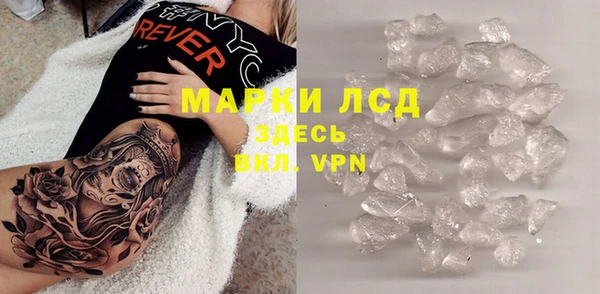 шишки Дмитриев