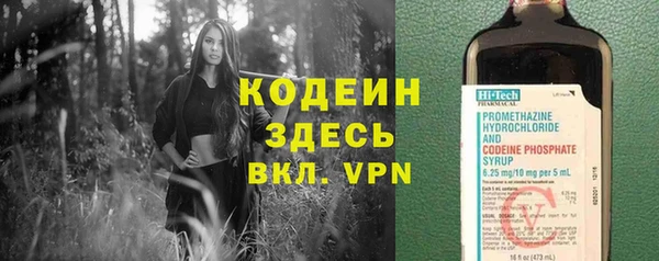 шишки Дмитриев