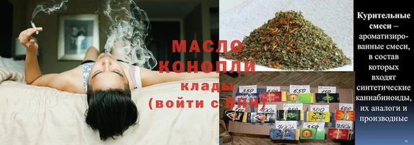 шишки Дмитриев