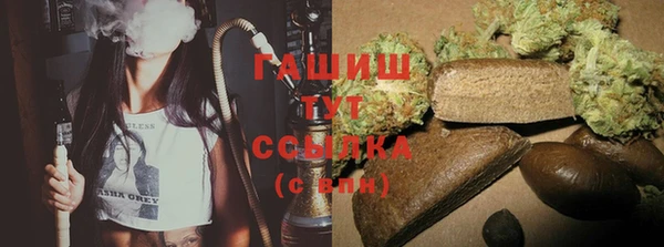 шишки Дмитриев